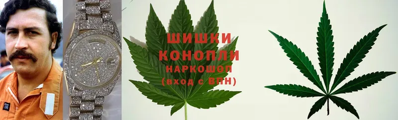 закладки  Торжок  Бошки марихуана LSD WEED 